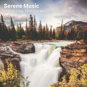 Download track Relaxing Music For Serenity Yoga Music