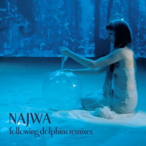 Download track Following Dolphins Najwa