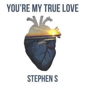 Download track Stay And Leave Stephen S