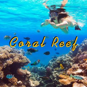 Download track Coral Reef Eduard Barchuk