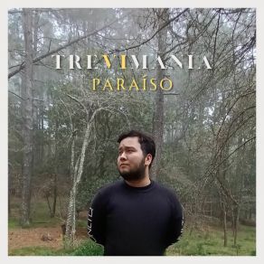 Download track Tocando El Cielo Trevimania