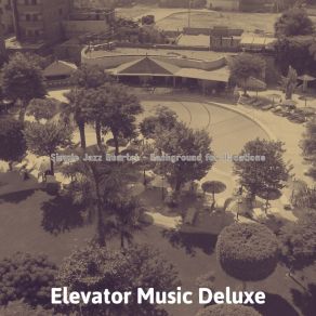 Download track Tremendous Ambience For Spring Break Elevator Music Deluxe