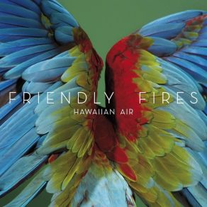 Download track Hawaiian Air (Seiji Remix) Friendly Fires