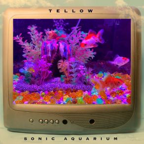 Download track Sonic Aquarium Tellow