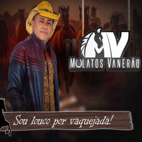 Download track Vaqueiro Motoqueiro Mulatos Vanerao