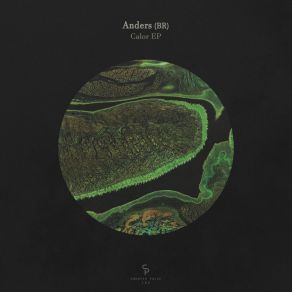 Download track Verb Anders (BR)