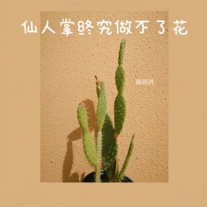 Download track 仙人掌终究做不了花 陈语淇