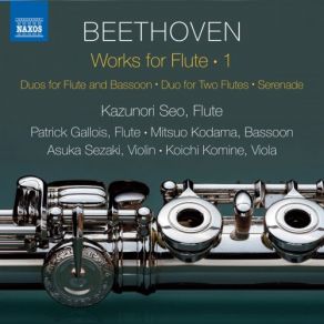 Download track Duo For Clarinet & Bassoon In C Major, WoO 27 No. 1 (Arr. K. Seo For Flute & Bassoon): I. Allegro Commodo Kazunori Seo