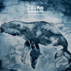 Download track Bodies Of Water Cosmo Sheldrake