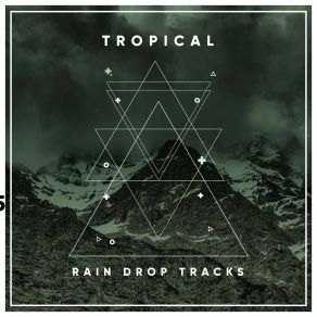 Download track Driving Rain Against Your Window (Loopable, No Fade) Rain Forest FX