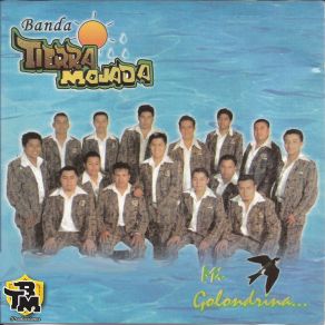 Download track Mi Golondrina Banda Tierra Mojada