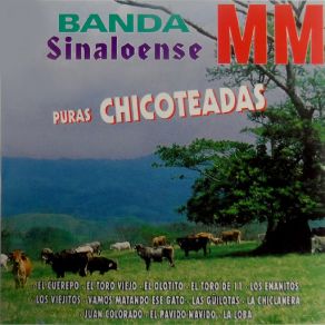 Download track Los Enanitos Banda Sinaloense MM