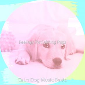 Download track Background For Doggies Calm Dog Music Beats