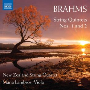 Download track String Quintet No. 2 In G Major, Op. 111: IV. Vivace Ma Non Troppo Presto New Zealand String Quartet