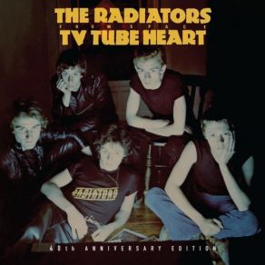 Download track Ripped And Torn (Live Studio) The Radiators From Space