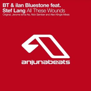 Download track All These Wounds (Nick Sember Remix) Ilan Bluestone, Stef Lang, BT