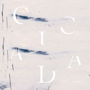 Download track Rolling Waves Cicada