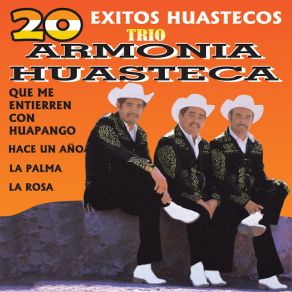 Download track El Lunarcito Trio Armonia Huasteca