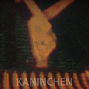 Download track Kaninchen Lemur