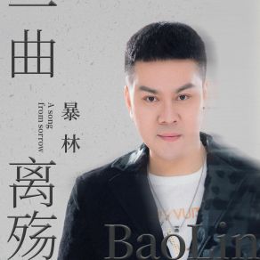 Download track 一曲离殇 (Dj版) Lin Bao