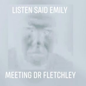 Download track Letting Go Listen Said Emily