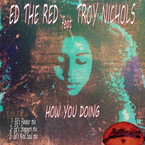 Download track How You Doing (Ed's Steppers Mix) Troy Nichols