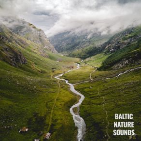 Download track Morning Waterfall Baltic Nature Sounds