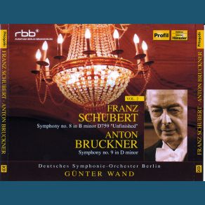 Download track Andante Con Moto Deutsches Symphonie - Orchester Berlin, Gunter Wand