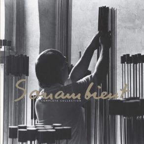 Download track Echoes Of Other Times Harry Bertoia