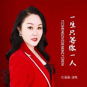 Download track 一生只等你一人 (伴奏) 红蔷薇