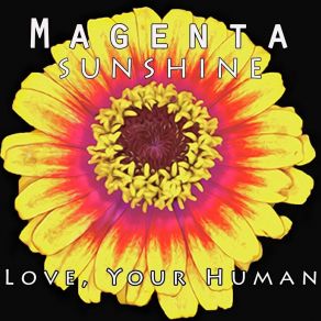 Download track Oklahoma Magenta Sunshine