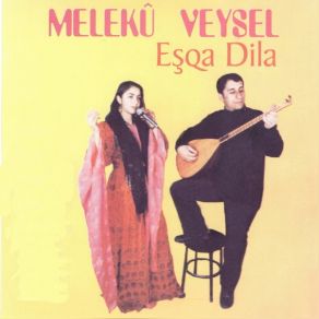 Download track Widelori' Melekû Veysel