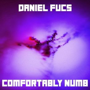 Download track Comfortably Numb (Radio Edit) Daniel Fucs