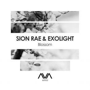 Download track Blossom Exolight