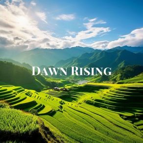 Download track Dawn Rising Koico Relaxation Music