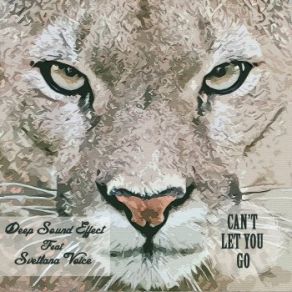 Download track Cant Let You Go (Original Mix) Deep Sound Effect, Svetlana Voice