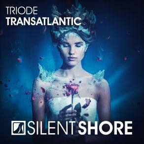 Download track Transatlantic (Original Mix) Triode