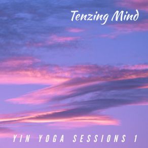 Download track Dragonfly Pose Tenzing Mind