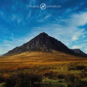 Download track No Remedy Pascal Cherouny