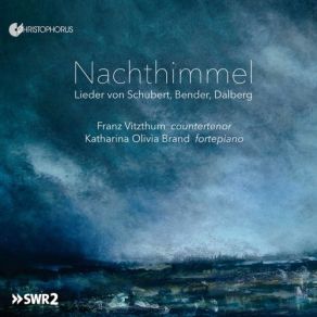 Download track Variations On A Theme Of Hüttenbrenner, D. 576 Var. 6 Katharina Olivia Brand