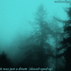 Download track It Was Just A Dream (Speed Up) Voidwalkerr