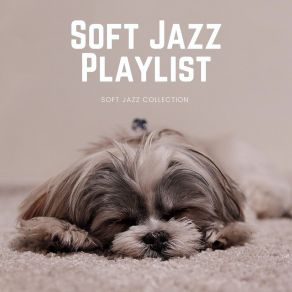 Download track Private Jazz Club Instrumental Sleeping Music