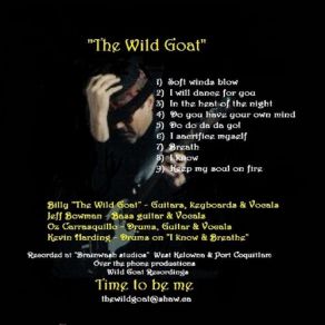 Download track In The Heat Of The Night The Wild Goat