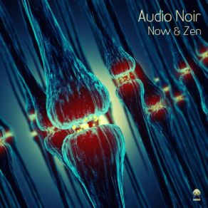 Download track Ain't No Melodies (Audio Noir Zen Mix) Audio NoirDark Soul Project, Mathov, Fe Malefiz