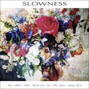 Download track Wired Slowness