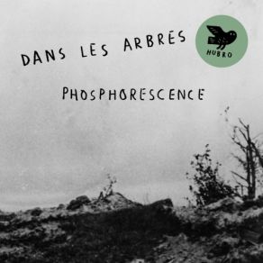 Download track Phosphorescent Dans Les Arbres