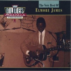 Download track The 12 Year Old Boy Elmore James