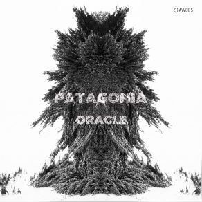 Download track Ewok (Original Mix) Patagonia