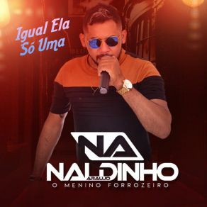 Download track Te Amei Até Onde Deu (Cover) Naldinho Araújo