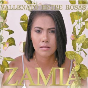 Download track Recuerdos De Un Amor ZamiaCarolina Celedon